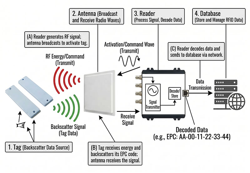 A step-by-step diagram showing how RFID technology works between tags and readers